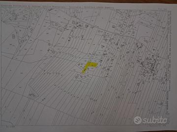 Terreno in località Casale, Belmonte Mezzagno