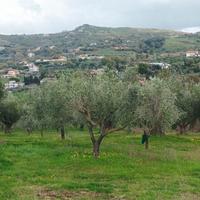 Terreno agricolo zona moio