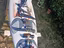 Immagine 4