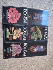 BONSAI RIVISTE