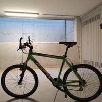mountain bike (uomo) Eclipse verde