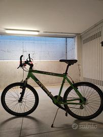 mountain bike (uomo) Eclipse verde