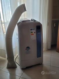 Condizionatore PAC WE 112 ECO