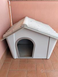 cuccia