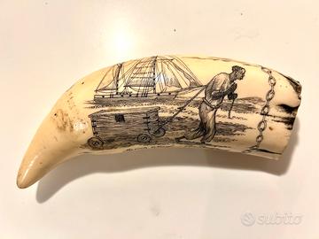 Dente di balena inciso - scrimshaw