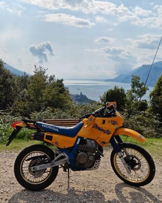 Honda Dominator 650cc 1991 monocilindrico