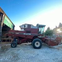 Mietitrebbia Laverda 3300 AL + barra falciante