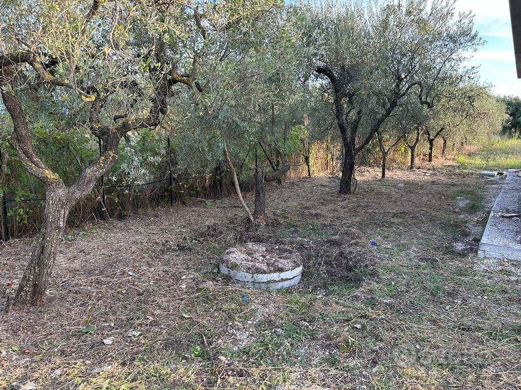 Terreno con fabbricato civile abitazione - Vista 5