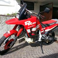 Suzuki Dr800 big