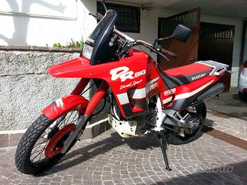 Suzuki Dr800 big