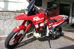 Suzuki Dr800 big