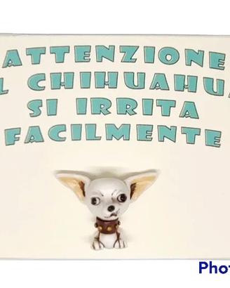 Targa in legno Cane Chihuahua in resina