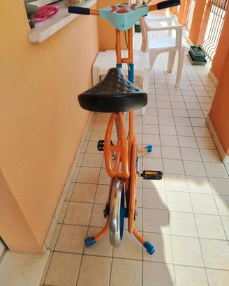 bici da camera