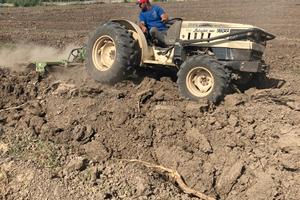 Trattore Lamborghini 775 plus turbo frutteto