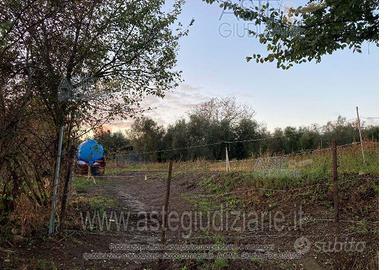 Terreno Agricolo Canino [A4342477]