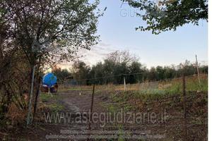 Terreno Agricolo Canino [A4342477]