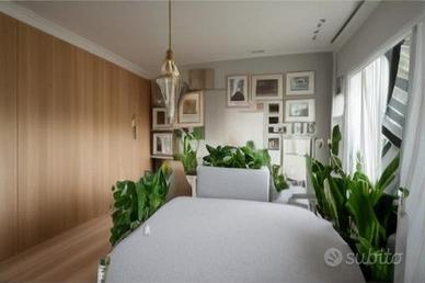 Mogliano Veneto - 3 locali  22 T31764