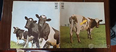 Vinile Pink Floyd