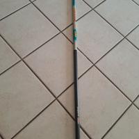 Canna da pesca fissa Carson