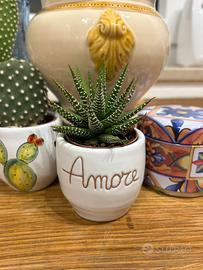 Pianta grassa in vaso di ceramica fatto a mano