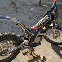 Sherco trial 290