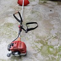 Newton Decespugliatore