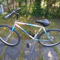 Mountain bike da bambino/ragazzo (Lido di Spina)