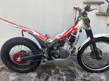 Trial Beta Evo 290cc