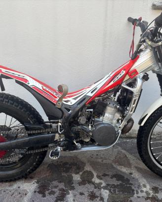 Trial Beta Evo 290cc