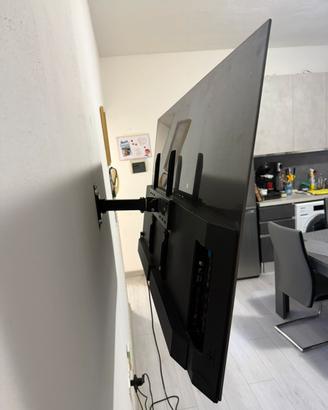 TV 55 pollici  OLED marca METZ TEDESCA