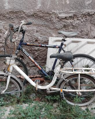 Bici Graziella