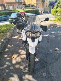 Tiger 800 Tumph