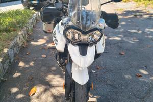 Tiger 800 Tumph