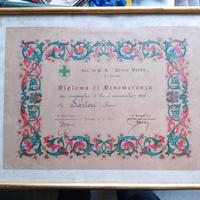 Diploma Croce verde