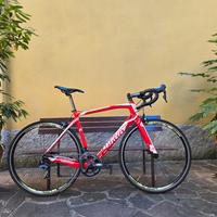 Wilier GTR Team