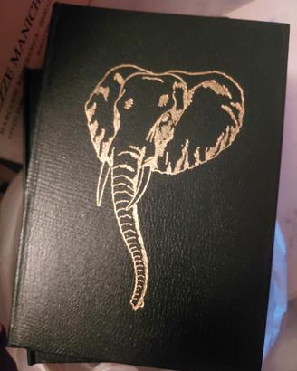 enciclopedia animali 