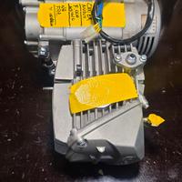 motore ohvale daytona  anima 190