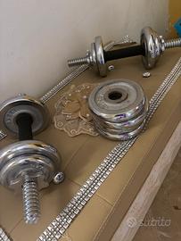 Palestra