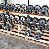 Rastrelliera Manubri Technogym