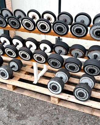 Rastrelliera Manubri Technogym