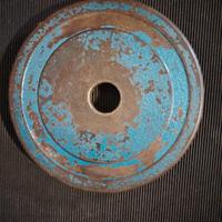 coppia dischi pesi 5 kg