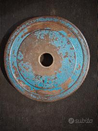 coppia dischi pesi 5 kg