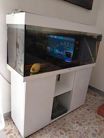 acquario Juwel Rio 240 L - 120 cm.