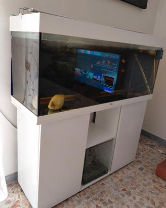 acquario Juwel Rio 240 L - 120 cm.