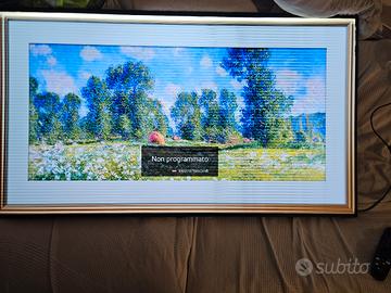 tv oled 55 pollici LG 4K Difettoso