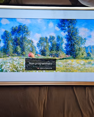 tv oled 55 pollici LG 4K Difettoso