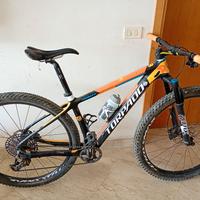MTB 29 FULL CARBON 