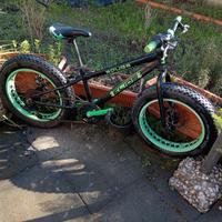 Fat bike 