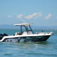 Robalo R260