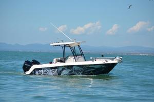Robalo R260
